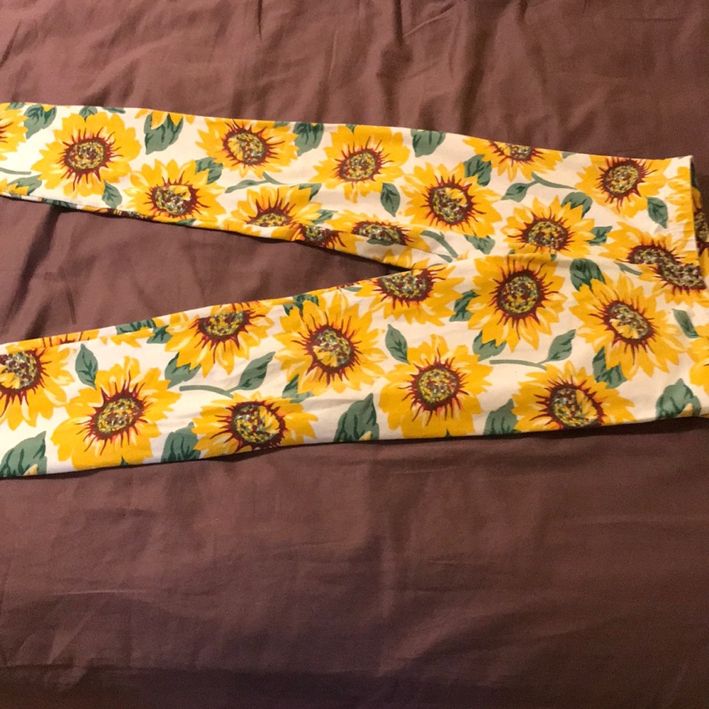 American Apparel Sunflower Leggings